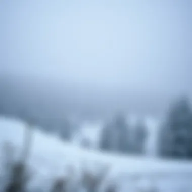 Magnificent Душ насадка на кран: Обзор, Преимущества и Рынок