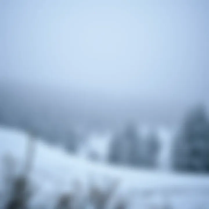 Magnificent Душ насадка на кран: Обзор, Преимущества и Рынок