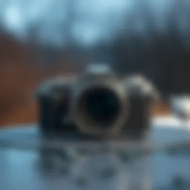 Magnificent Крем с мочевиной EVO: Преимущества и Применение