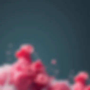 Magnificent Кубики EVA: Применение, Преимущества и Выбор Magnificent Кубики EVA: Применение, Преимущества и Выбор