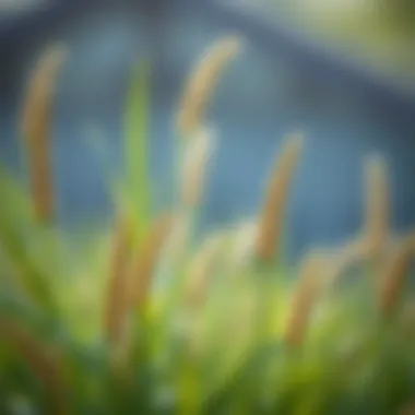 Magnificent Офисная цветная бумага A4: особенности, использование и советы по выбору