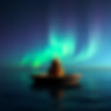 Magnificent Пластиковое ведро на восемь литров: практические аспекты и выбор