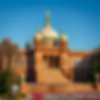 Magnificent Садовая гирлянда: практическое руководство для выбора и использования Magnificent Садовая гирлянда: практическое руководство для выбора и использования