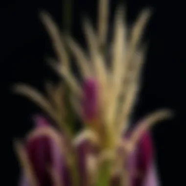 Magnificent Шампунь Grass: Уникальные Свойства и Применение