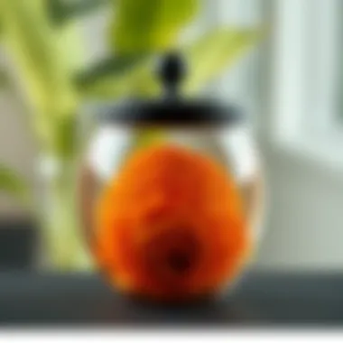 Magnificent Швабра с липучкой: инновационное решение для уборки