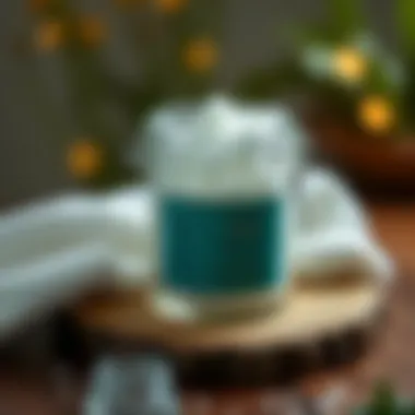 Magnificent Средства для чистки обуви: выберите правильное решение