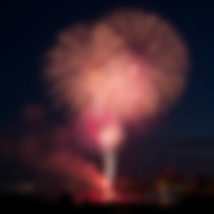 Fireworks illuminating the night sky during a celebration