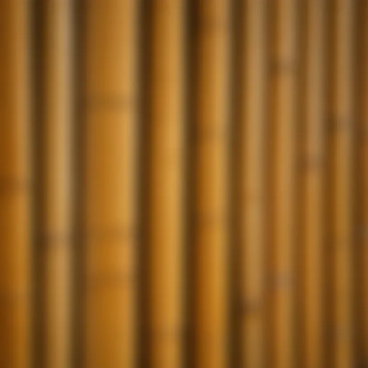 Close-up view of bamboo texture showcasing its quality