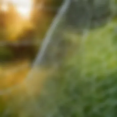 Durable Materials for Long-lasting Bird Protection Close-up of bird netting material showing durability