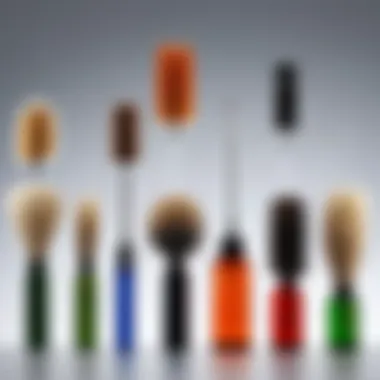 Comparative analysis of bottle brushes