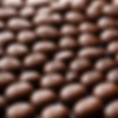 Evolution of Bounty Chocolate Advertisement Historical advertisement showcasing the evolution of Bounty chocolate