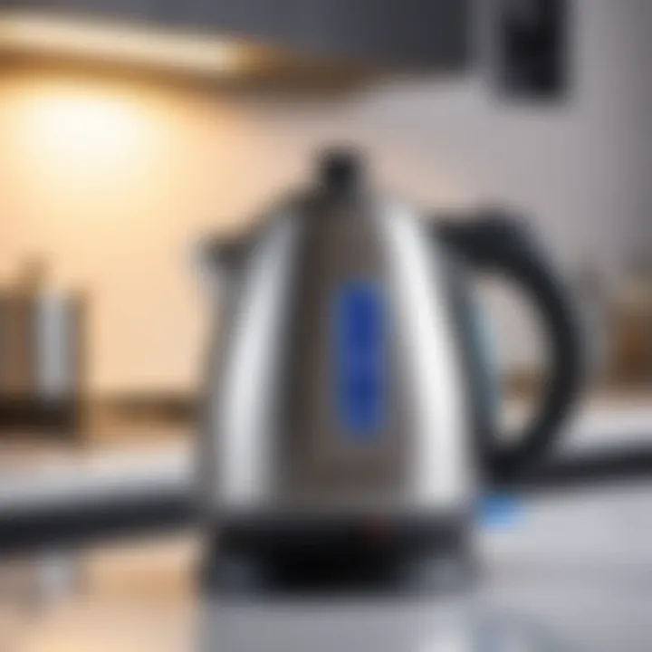 Energy-efficient electric kettle in action