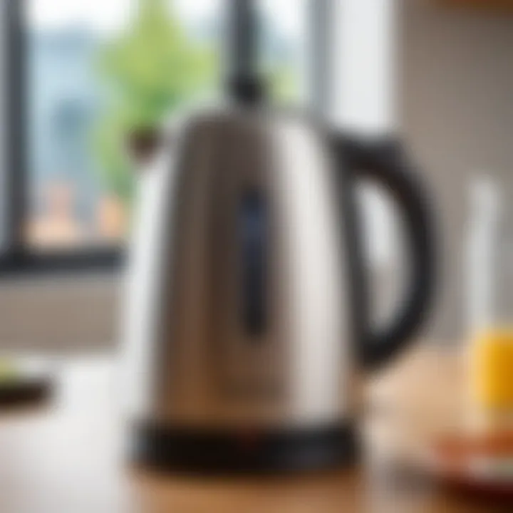 User-friendly electric kettle with usage tips