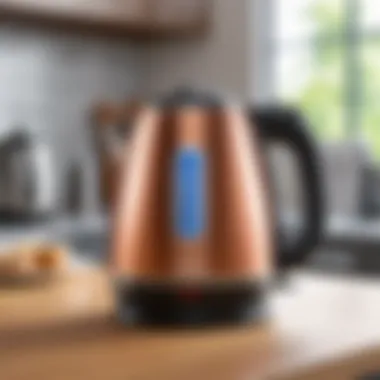 Various budget electric kettles with price tags