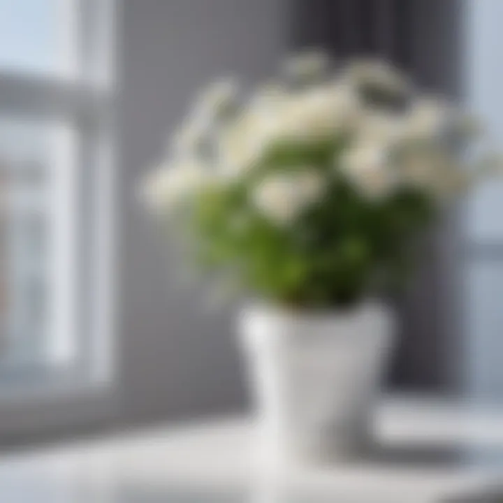 Close-up of white plastic flower pot with vibrant flowering plant