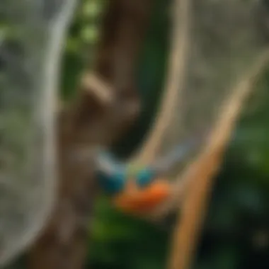 Exploring Various Types of Bird Nets for Optimal Protection Comparison of different types of bird nets available