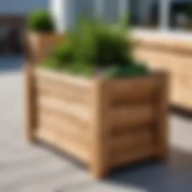 Rustic wooden planter enhancing natural aesthetics.