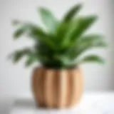 Elegant plywood flower pot showcasing modern design