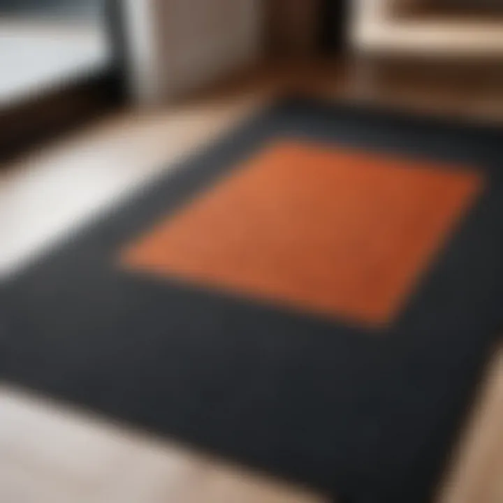 Stylish entrance mat complementing interior design