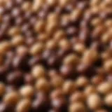 Historical representation of chocolate-covered peanuts