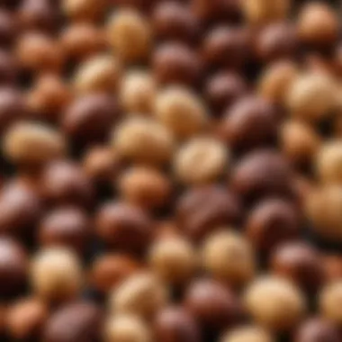 Nutritional analysis of chocolate-covered peanuts