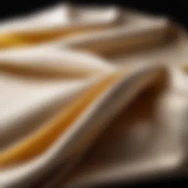 Material Quality in Laundry Bags Close-up of high-quality fabric used for laundry bags.