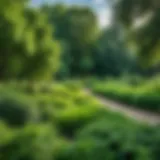 Panoramic view of Filevsky Park showcasing lush greenery