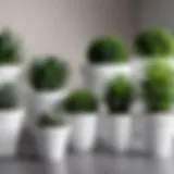 A collection of elegant white plastic flower pots showcasing various designs