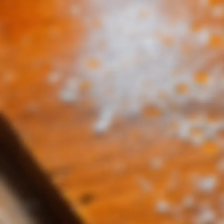 Close-up of foam paint texture on wood