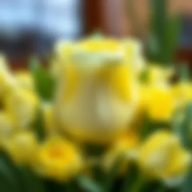 Функциональность и эстетика большого белого горшка для цветов Summary