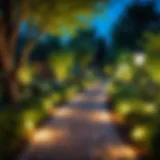 A beautifully illuminated garden path with glowing lanterns