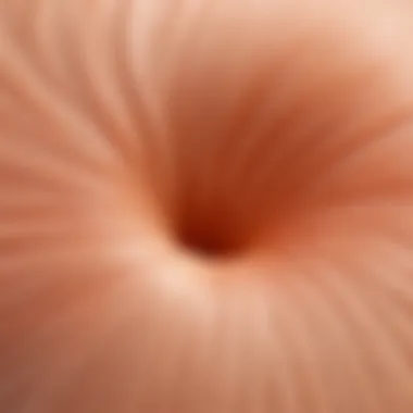 Texture of Garnier Color Cream Close-up of Garnier Color cream texture