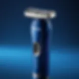 Gillette Blue 2: Анализ и практическ�ое применение Introduction