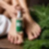 Natural ingredients of Teymurov foot spray