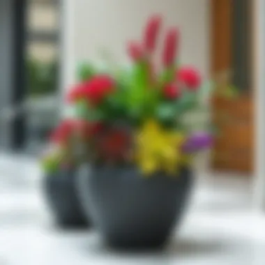 Elevated Aesthetics in Floral Design Elegant high floor flower pot showcasing vibrant plants