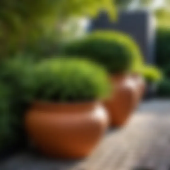 A landscape garden featuring strategically placed pots enhancing the aesthetics.