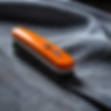 Effective Lint Removal on Fabric Coats Lint brush used on a fabric coat