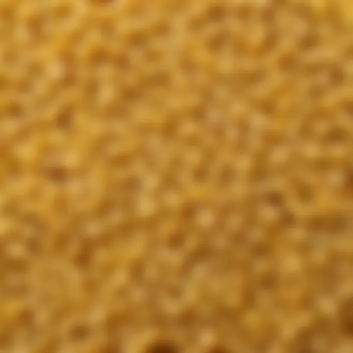 Close-up of raw Makfa pasta showcasing its texture