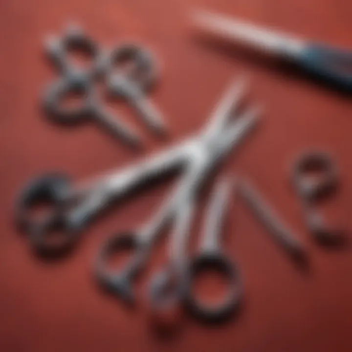 Different types of manicure scissors arranged artistically