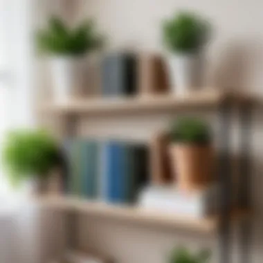 Close-up of a well-organized MDF shelf with books and plants