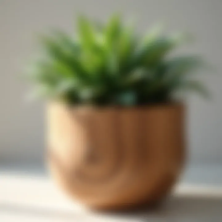 Natural wood texture highlighted in flower pot creation