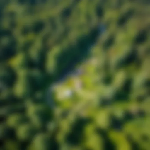 Aerial view of the Old Stanitsa showcasing the lush greenery and the layout of Park Log.