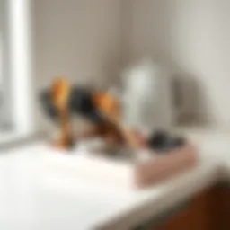 Elegant cutlery tray organized with utensils