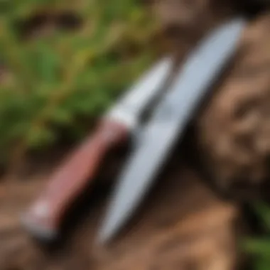 Folding knife in an outdoor setting, demonstrating its use in nature