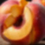 A fresh peach without fuzz showcasing its smooth skin