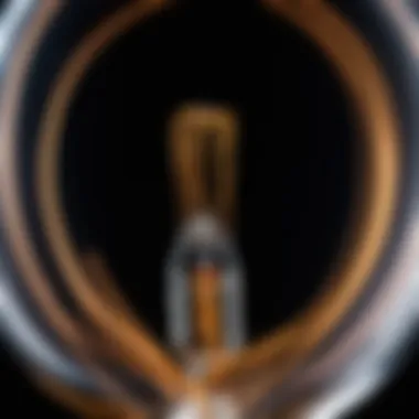 Insight into the Filament of Philips Incandescent Bulb Close-up view of the filament inside a Philips incandescent bulb