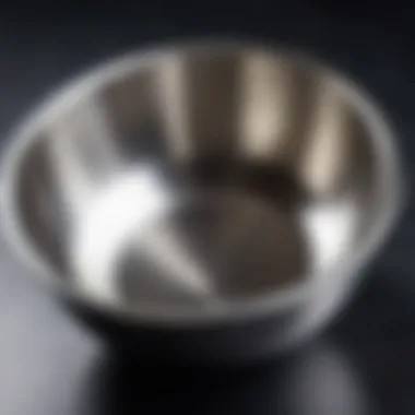 Close-up of stainless steel bowl showcasing its polished surface