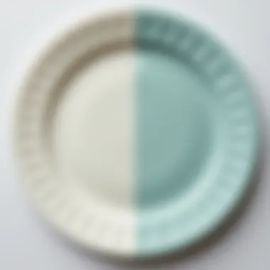 Comparison of disposable plates: polypropylene vs. traditional materials