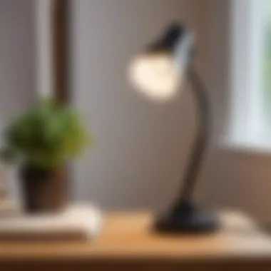 Compact reading lamp with clip