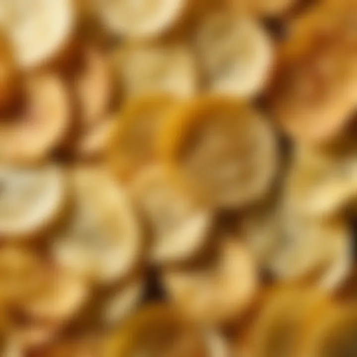 Detailed view of Russian Potato chips showcasing texture and flavor